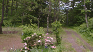 長野県菅平高原 ゆたか山荘 坂上 2026/06/06 11:45