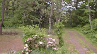 長野県菅平高原 ゆたか山荘 坂上 2026/06/06 12:00