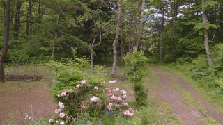長野県菅平高原 ゆたか山荘 坂上 2026/06/06 12:15
