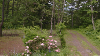 長野県菅平高原 ゆたか山荘 坂上 2026/06/06 12:30