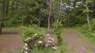 長野県菅平高原 ゆたか山荘 坂上 2026/06/06 12:45