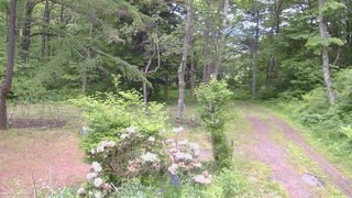 長野県菅平高原 ゆたか山荘 坂上 2026/06/06 13:00