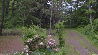 長野県菅平高原 ゆたか山荘 坂上 2026/06/06 13:15