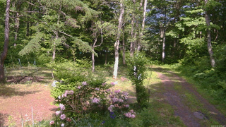 長野県菅平高原 ゆたか山荘 坂上 2026/06/06 14:30
