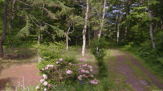 長野県菅平高原 ゆたか山荘 坂上 2026/06/06 15:15