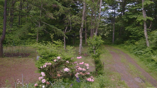 長野県菅平高原 ゆたか山荘 坂上 2026/06/06 15:30