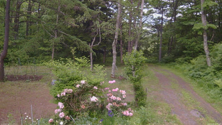 長野県菅平高原 ゆたか山荘 坂上 2026/06/06 15:45