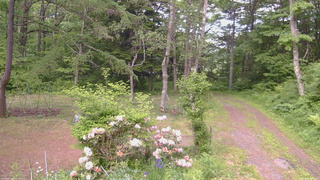長野県菅平高原 ゆたか山荘 坂上 2026/06/06 17:00