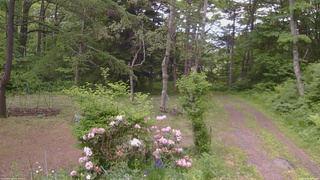 長野県菅平高原 ゆたか山荘 坂上 2026/06/06 17:30