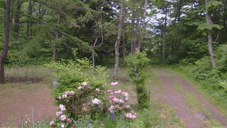 長野県菅平高原 ゆたか山荘 坂上 2026/06/06 18:15