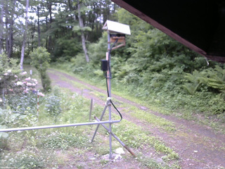 長野県菅平高原 ゆたか山荘 南側 2026/06/07 06:45