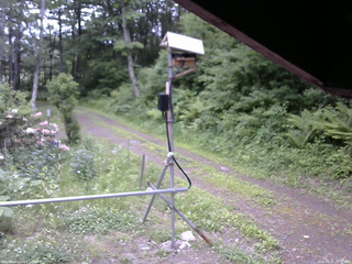 長野県菅平高原 ゆたか山荘 南側 2026/06/07 15:00