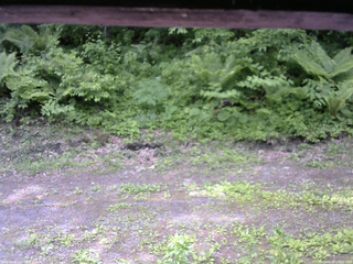 長野県菅平高原 ゆたか山荘 東側(坂下) 2026/06/07 10:00