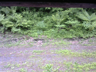 長野県菅平高原 ゆたか山荘 東側(坂下) 2026/06/07 14:30