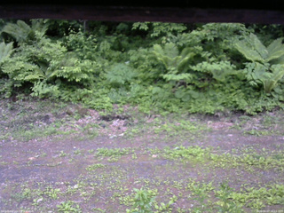 長野県菅平高原 ゆたか山荘 東側(坂下) 2026/06/07 16:15