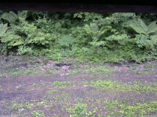 長野県菅平高原 ゆたか山荘 東側(坂下) 2026/06/07 16:45