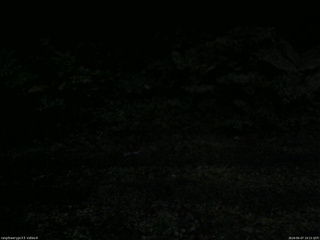 長野県菅平高原 ゆたか山荘 東側(坂下) 2026/06/07 19:15