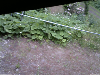 長野県菅平高原 ゆたか山荘 駐車場 2026/06/07 05:00