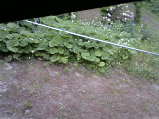 長野県菅平高原 ゆたか山荘 駐車場 2026/06/07 06:00