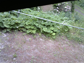 長野県菅平高原 ゆたか山荘 駐車場 2026/06/07 06:15