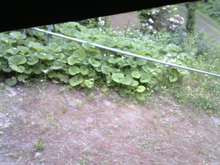 長野県菅平高原 ゆたか山荘 駐車場 2026/06/07 06:30