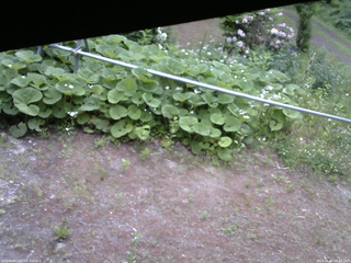 長野県菅平高原 ゆたか山荘 駐車場 2026/06/07 06:45