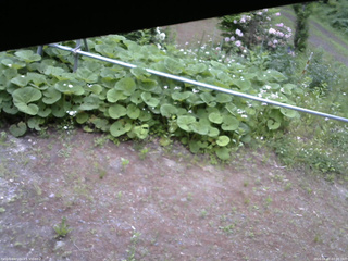 長野県菅平高原 ゆたか山荘 駐車場 2026/06/07 07:00