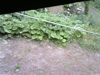 長野県菅平高原 ゆたか山荘 駐車場 2026/06/07 07:15