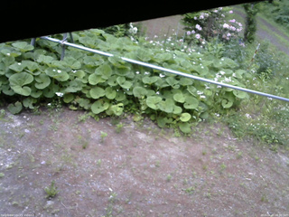 長野県菅平高原 ゆたか山荘 駐車場 2026/06/07 08:30