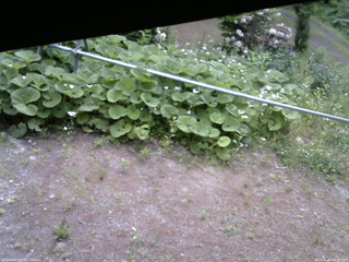 長野県菅平高原 ゆたか山荘 駐車場 2026/06/07 09:00