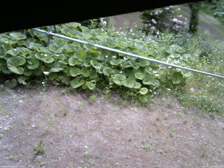 長野県菅平高原 ゆたか山荘 駐車場 2026/06/07 09:15