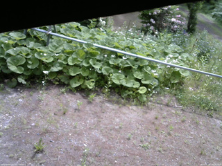 長野県菅平高原 ゆたか山荘 駐車場 2026/06/07 09:30