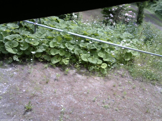 長野県菅平高原 ゆたか山荘 駐車場 2026/06/07 10:00