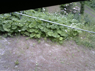 長野県菅平高原 ゆたか山荘 駐車場 2026/06/07 11:30