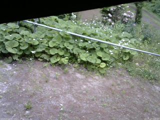 長野県菅平高原 ゆたか山荘 駐車場 2026/06/07 12:00