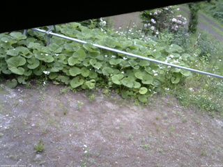長野県菅平高原 ゆたか山荘 駐車場 2026/06/07 12:45