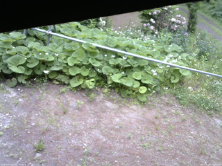 長野県菅平高原 ゆたか山荘 駐車場 2026/06/07 15:00