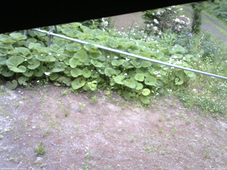 長野県菅平高原 ゆたか山荘 駐車場 2026/06/07 15:15