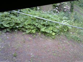 長野県菅平高原 ゆたか山荘 駐車場 2026/06/07 16:15