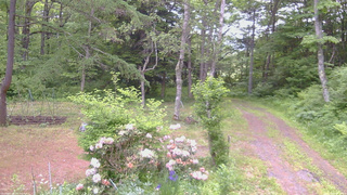 長野県菅平高原 ゆたか山荘 坂上 2026/06/07 06:30