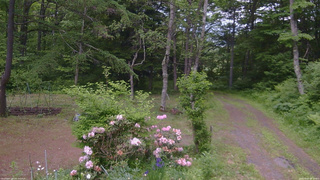 長野県菅平高原 ゆたか山荘 坂上 2026/06/07 08:30