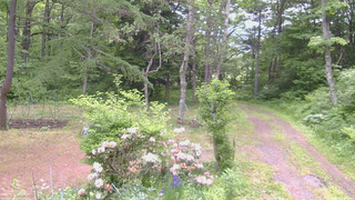 長野県菅平高原 ゆたか山荘 坂上 2026/06/07 09:00