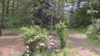長野県菅平高原 ゆたか山荘 坂上 2026/06/07 09:30