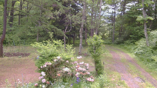 長野県菅平高原 ゆたか山荘 坂上 2026/06/07 09:45