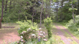 長野県菅平高原 ゆたか山荘 坂上 2026/06/07 10:00