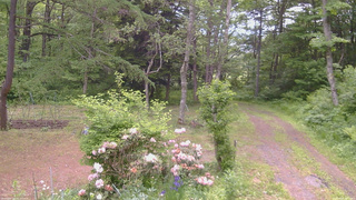 長野県菅平高原 ゆたか山荘 坂上 2026/06/07 10:15