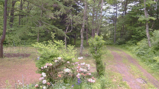 長野県菅平高原 ゆたか山荘 坂上 2026/06/07 10:45