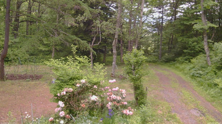 長野県菅平高原 ゆたか山荘 坂上 2026/06/07 11:30