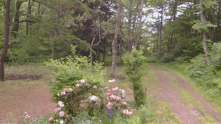 長野県菅平高原 ゆたか山荘 坂上 2026/06/07 11:45