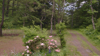 長野県菅平高原 ゆたか山荘 坂上 2026/06/07 12:00
